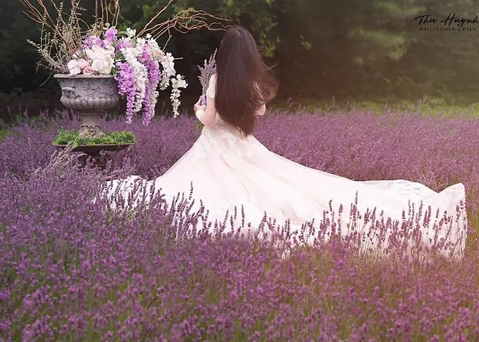 Top Washington Harbor Hotels Along the Potomac