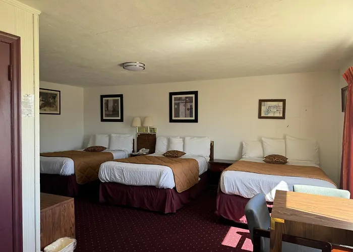 Top Albany Airport Hotels Offering Free Shuttles