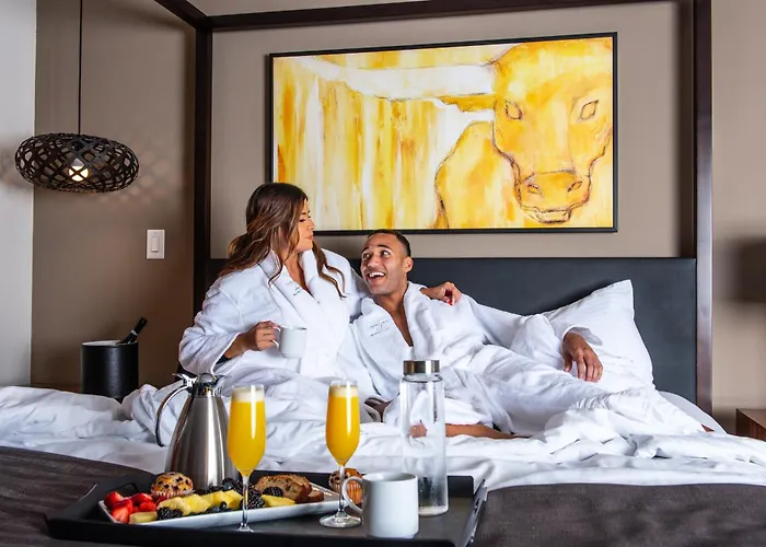 Best Boutique Hotels in San Antonio