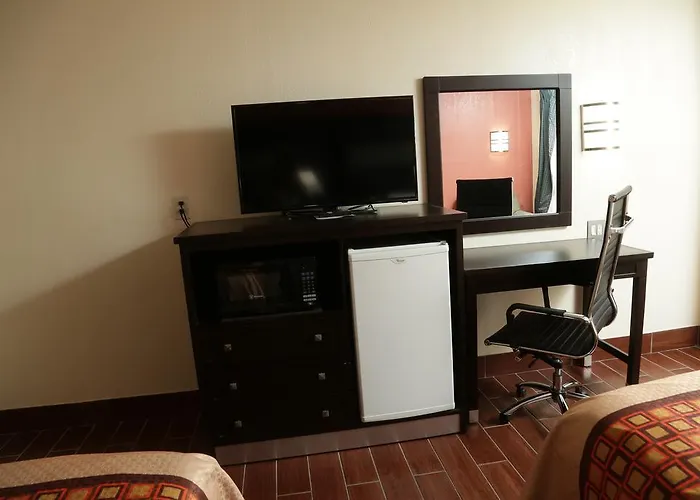 Top Lake Washington Hotels in Seattle for Serene Stays